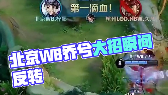 不算特别出